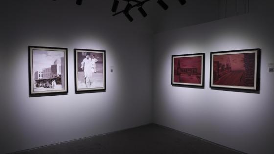 جانب من المعرض