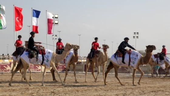 جانب من المنافسات