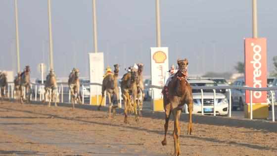 جانب من المنافسات