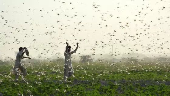 صورة تعبيرية