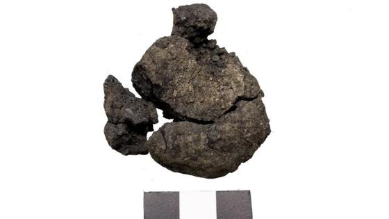 أقدم رغيف خبز في العالم