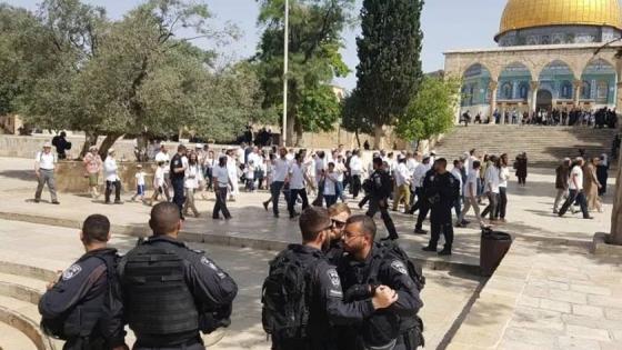 عشرات المستعمرين اقتحموا الأقصى