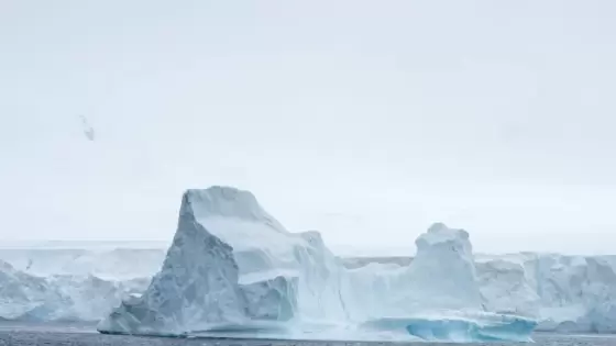 القطب الجنوبي