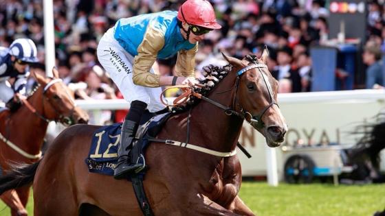 المهرة ليوفاني