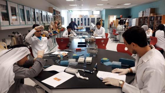 جانب من الدورات التدريبية