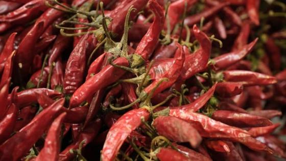 بهار البابريكا يُصنع من الفلفل الأحمر الحلو المطحون