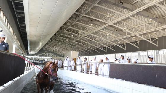 جانب من الفعاليات