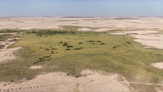 جانب من المناطق المؤهلة