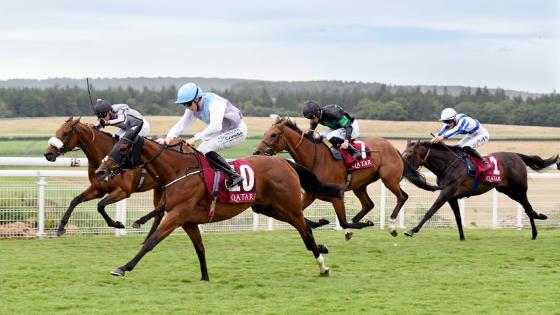 جانب من المنافسات