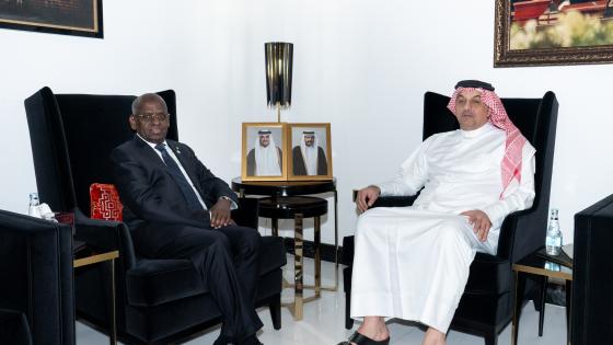 جانب من اللقاء