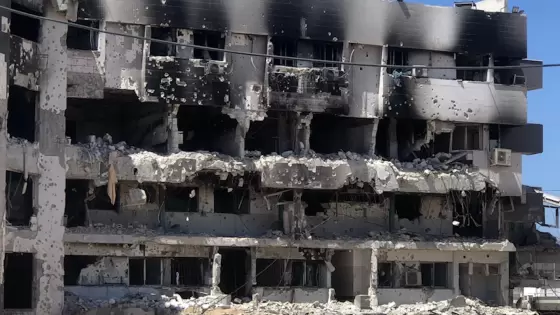 صورة أرشيفية