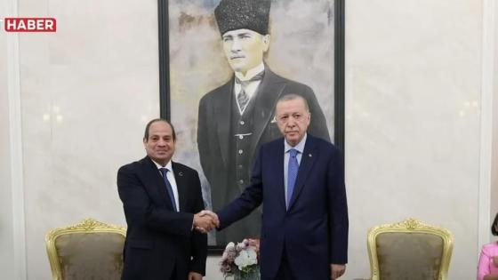 الرئيسان التركي والمصري