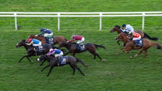 جانب من المنافسات