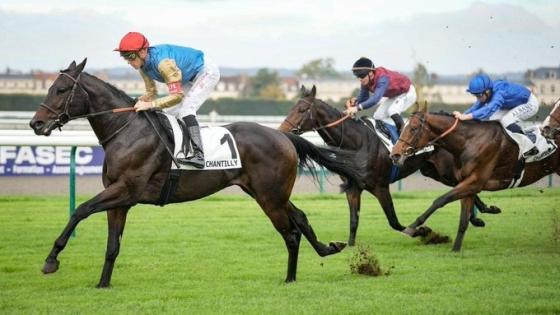 جانب من المنافسات