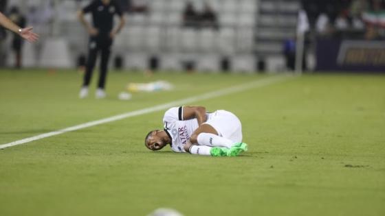 بيدرو ميجيل