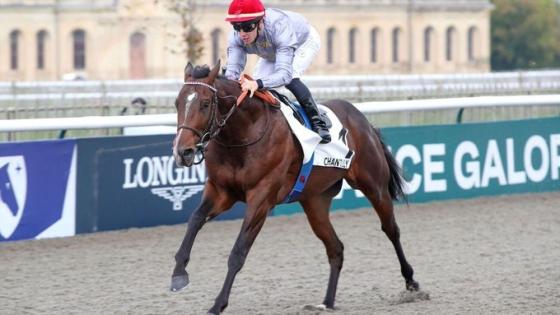 المهر "سيلينيان"