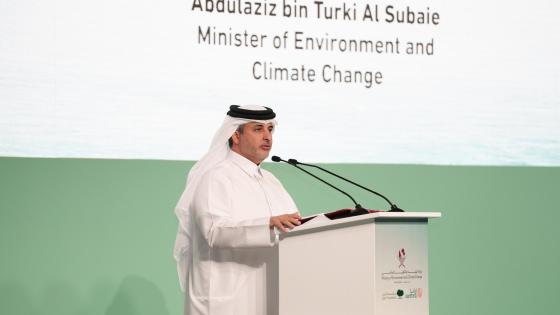 جانب من الفعاليات