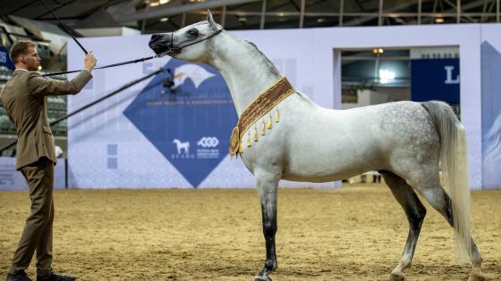 جانب من المنافسات