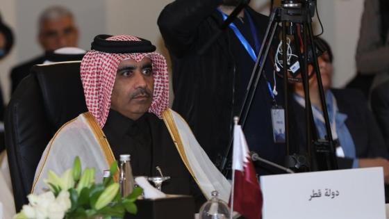 جانب من المشاركة القطرية