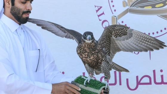 جانب من المنافسات