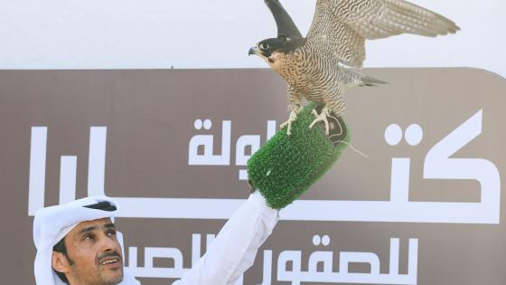 جانب من البطولة