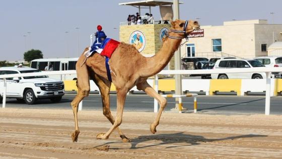 جانب من المنافسات