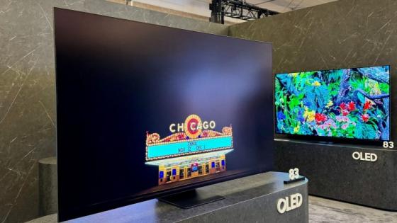 جانب من المعرض