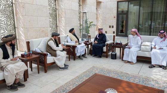 جانب من اللقاء