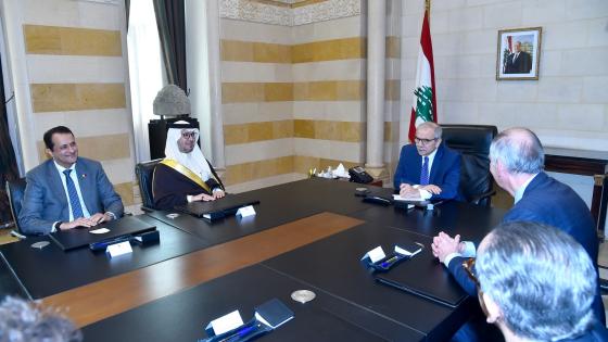 جانب من المقابلة