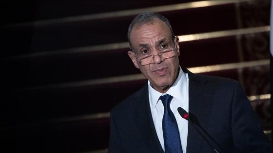 وزير الخارجية المصري بدر عبد العاطي
