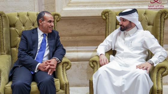 وزير الخارجية المصرية في حديثه إلى قنا