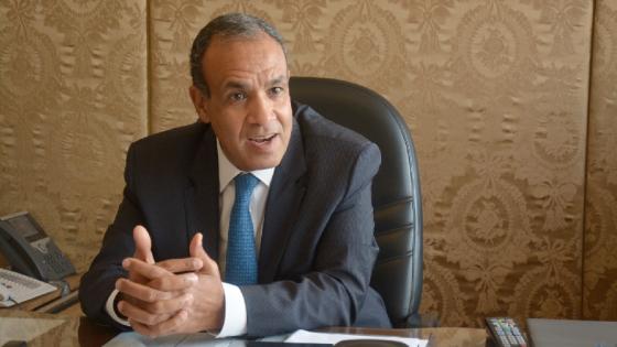 بدر عبدالعاطي وزير الخارجية المصري