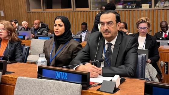 جانب من المشاركة القطرية في الاجتماع