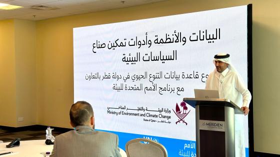 جانب من إحدى ورش العمل