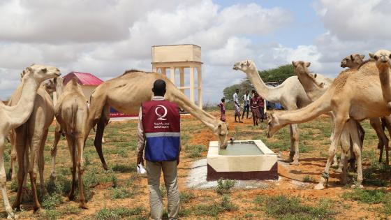 جانب من تدشين حملة إحياء قرية