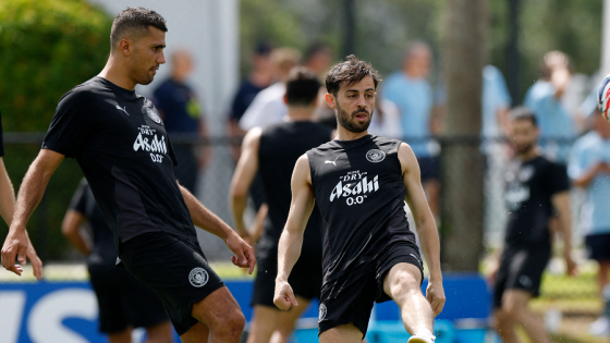 برناردو سيلفا ورودري