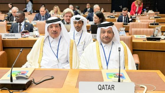 جانب من المشاركة القطرية في الاجتماع