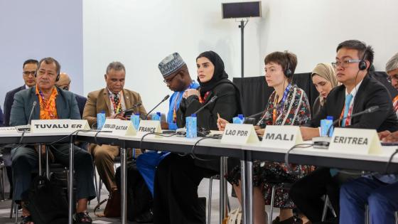 جانب من المشاركة