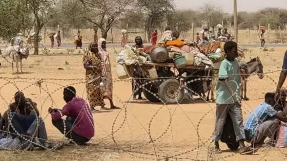 صورة أرشيفية