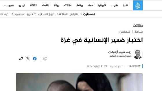 لقطة من مقال الرئيس التركي المنشور بالجزيرة نت