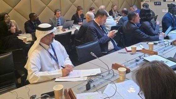 جانب من المشاركة القطرية في المنتدى