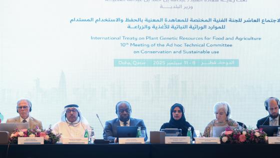 جانب من الاجتماع