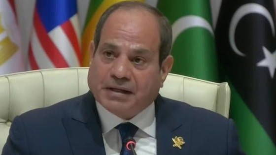 الرئيس المصري عبد الفتاح السيسي