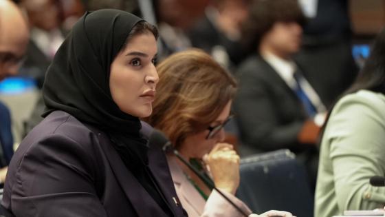 جانب من مشاركة وزير الدولة للتعاون الدولي في الاجتماع