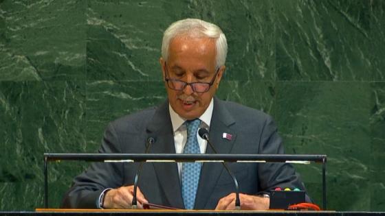 السيد سلطان بن سعد المريخي وزير الدولة للشؤون الخارجية