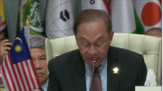 رئيس وزراء ماليزيا أنور إبراهيم