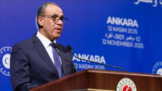 وزير الخارجية المصري بدر عبد العاطي