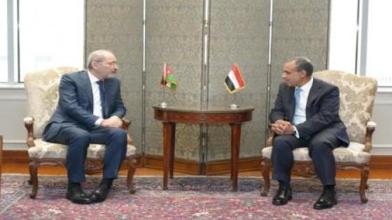 بدر عبد العاطي و أيمن الصفدي