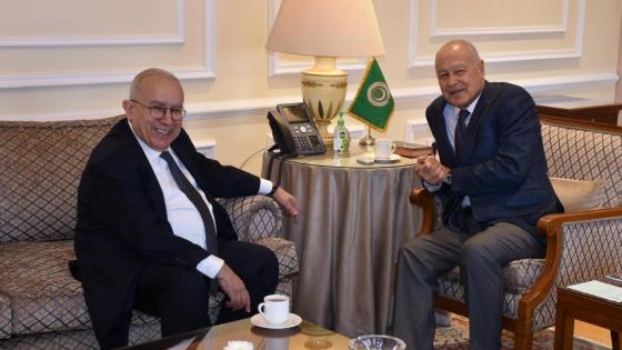 جانب من لقاء أبو الغيط والعمامرة