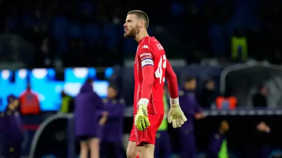 ديفيد دي خيا